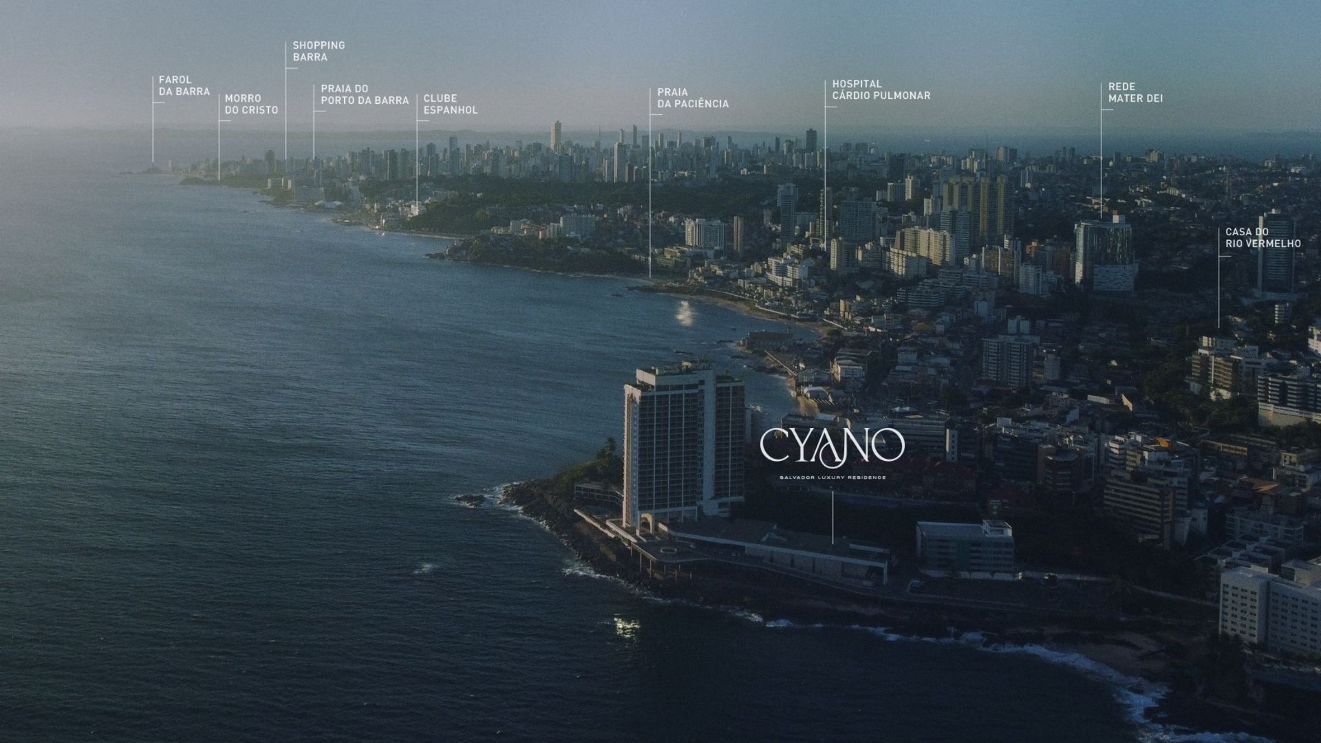 Cyano 13